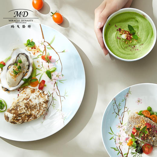 【6F】玛戈隆特 4人骨瓷餐具套装碗碟套装 轻奢中式家用碗盘碟 礼盒包装 20头雨花轩 20头（4人份） 商品图2