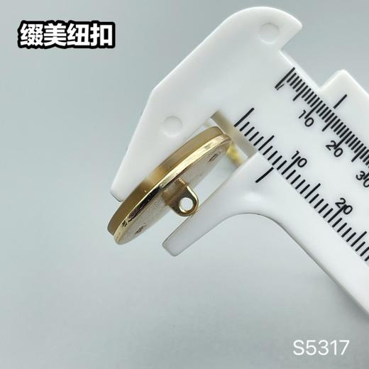S5317 商品图7