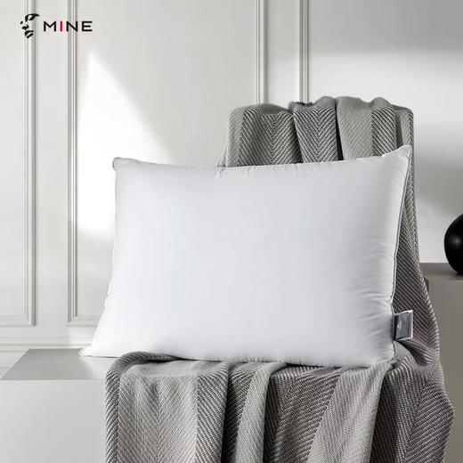 【6F】寐鹅绒记忆枕 商品图0
