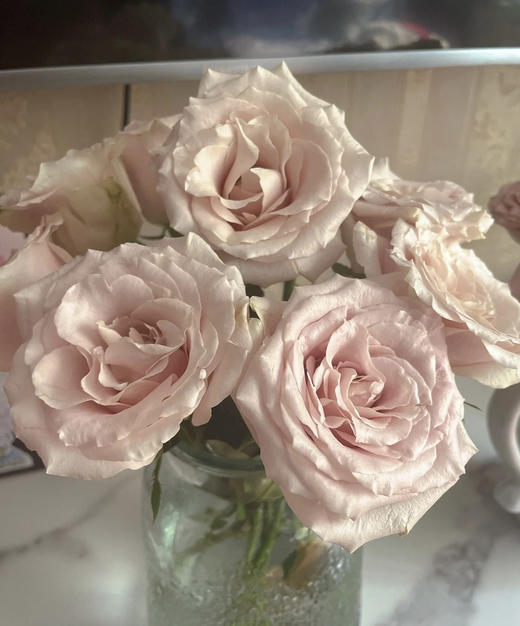 【秒杀福利】玫瑰 - 流沙  20枝/扎 商品图3