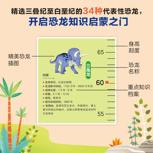 一分钟了解恐龙百科  2m超长身高贴挂图34张精美恐龙档案插图 商品图5