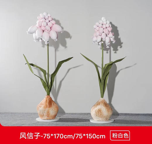 风信子（运费自理） 商品图1