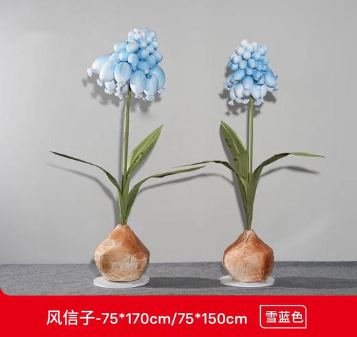 风信子（运费自理） 商品图2