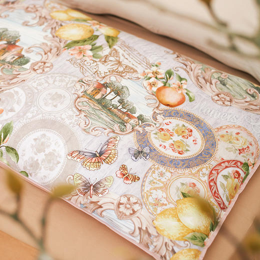 丰收摩洛哥单人荞麦枕枕芯枕罩 商品图1