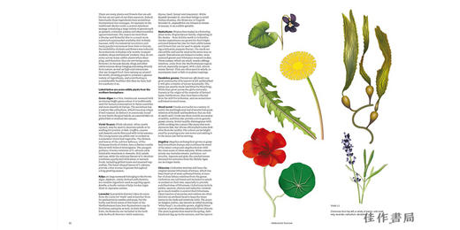 Sausage of the Future/未来的香肠 商品图2