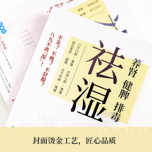 祛湿 养肾 健脾 排毒 商品图1