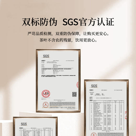 清朴堂 金砖老白茶·00048 商品图2