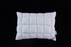 【6F】乐享甜心鹅绒复合枕 商品缩略图0