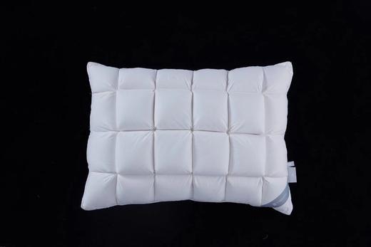 【6F】乐享甜心鹅绒复合枕 商品图0