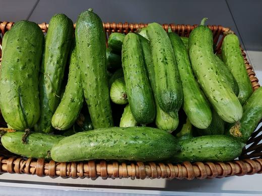 旱黄瓜 门店 商品图0