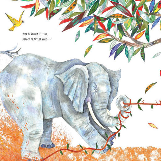 勇敢长大系列绘本（全4册） 商品图9