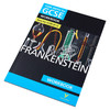 【中商原版】英国经典文学教辅 Frankenstein York Notes for GCSE 9-1 Workbook 科学怪人学习指南练习册 雪莱名著弗兰肯斯坦 商品缩略图2