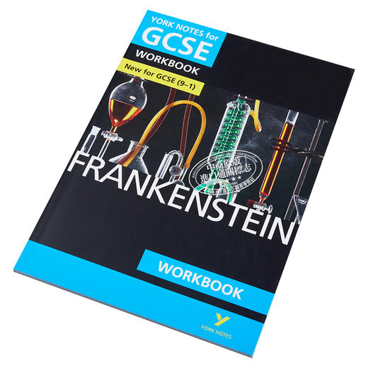 【中商原版】英国经典文学教辅 Frankenstein York Notes for GCSE 9-1 Workbook 科学怪人学习指南练习册 雪莱名著弗兰肯斯坦 商品图2