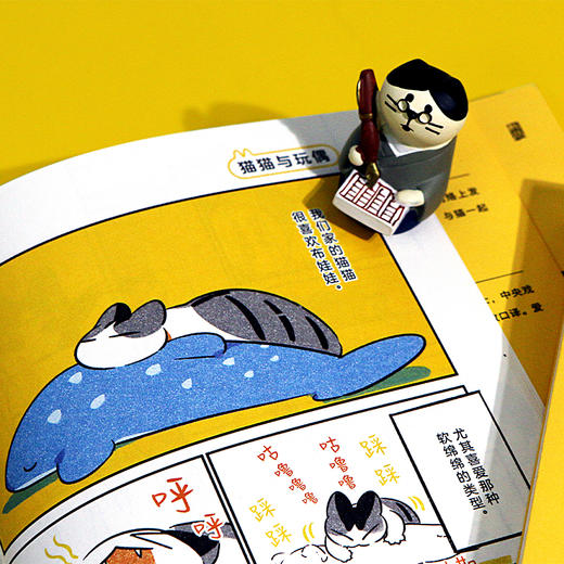 我的猫 十二岁 每当我打开家门 猫 就在那里等着我 风靡日本的网红漫画家治愈系作品 一人一猫的暖心日常 引发广大爱猫人士共鸣 网络连载点赞转发量破百万 日本亚马逊高口碑之作 初上市即加印 商品图10