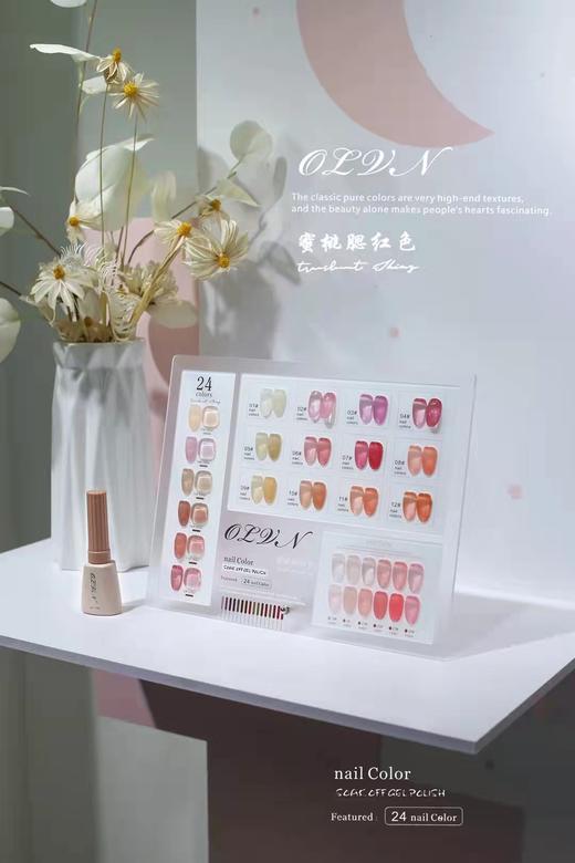 蜜桃腮红色 24色套  配送刷好色板 商品图0