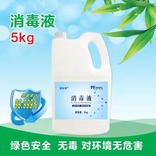 绿新素室内空气物体表面水果蔬菜消毒液5kg【BC】【HBB】 商品图0
