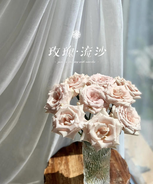 【秒杀福利】玫瑰 - 流沙  20枝/扎 商品图1