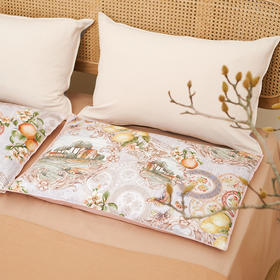 丰收摩洛哥单人荞麦枕枕芯枕罩