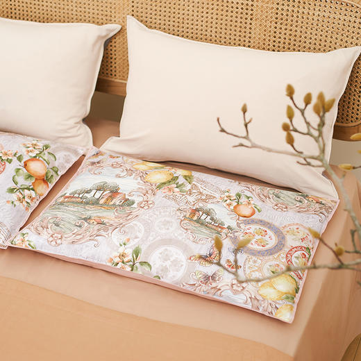 丰收摩洛哥单人荞麦枕枕芯枕罩 商品图0