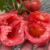 陕西普罗旺斯西红柿新鲜现摘沙瓤5斤净重包邮 商品缩略图1