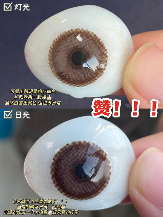 【年抛】鸡蛋仔favorrbeauty  | 大直径14.5，着色13.9 | 棕色美瞳 商品图1