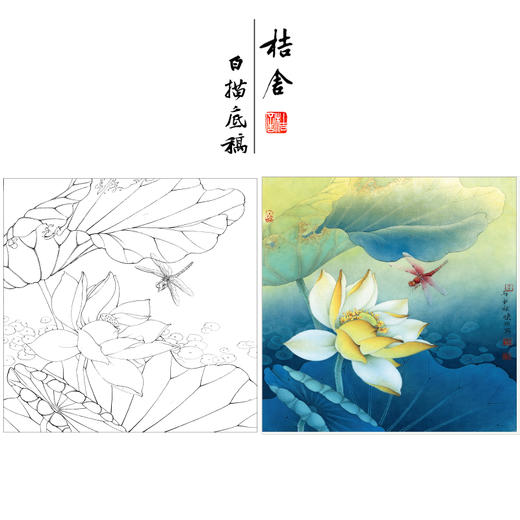 【有步骤、大彩图】李晓明工笔画白描稿斗方小品《地涌金莲》荷花初学者临摹勾线花鸟线稿KB10 商品图0