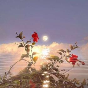 先学会不生气，再学会气别人