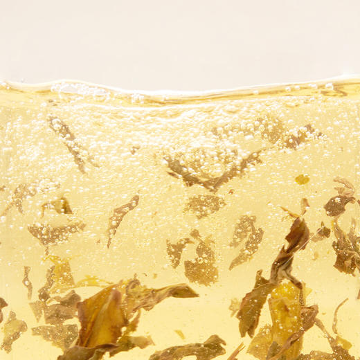 清朴堂-雅师集 大师茶叙单茶版 商务茶礼 商品图3