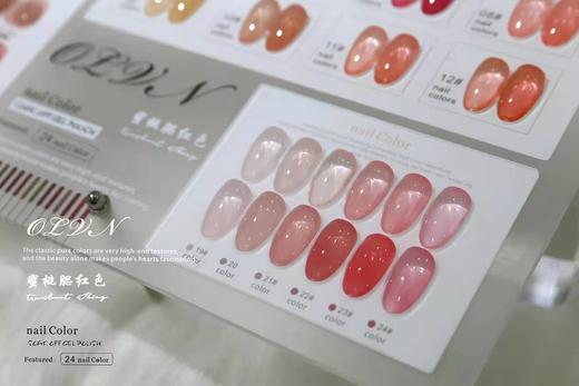 蜜桃腮红色 24色套  配送刷好色板 商品图4