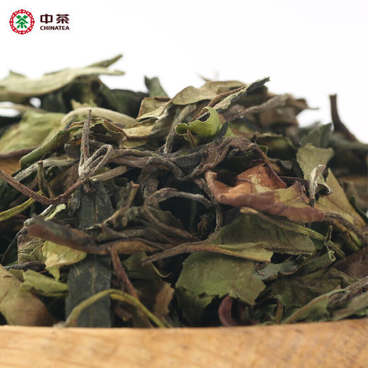 中茶牌蝴蝶牌茶叶有机白茶5115罐装白茶100g/罐 商品图2