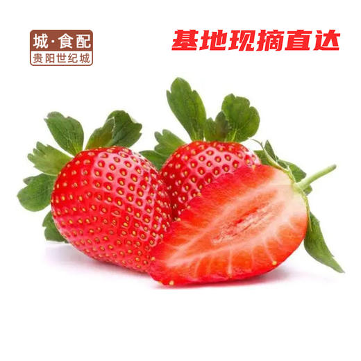 花溪草莓游鱼河有机草莓（奶油味）大中小果混装 2斤/筐【GY】 商品图5