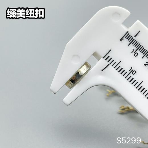 S5299(整包购买) 商品图7