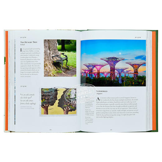 【中商原版】A Tree A Day 进口艺术 每天一树 商品图7