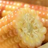 【西双版纳小包谷】香糯玉米 软糯香甜 新鲜玉米现掰现做 加热即食 代餐必备 2斤装 4-6根左右 3种规格任选 商品缩略图13
