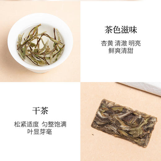 清朴堂 金砖老白茶·00048 商品图4