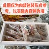 培根本草红糖姜茶新包装（120克/盒，包含12小袋，每小袋10克） 商品缩略图4