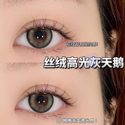 yukicon日抛  美瞳 灰天鹅 直径14.2mm 着色13.5mm   商品图12