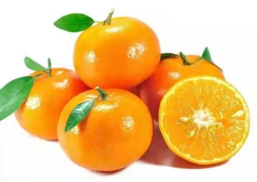 一级沃柑 商品图0