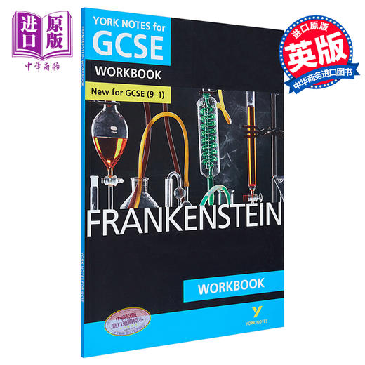 【中商原版】英国经典文学教辅 Frankenstein York Notes for GCSE 9-1 Workbook 科学怪人学习指南练习册 雪莱名著弗兰肯斯坦 商品图0