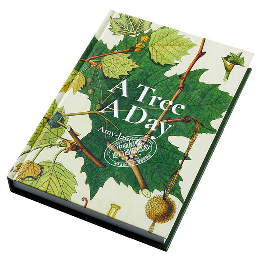 【中商原版】A Tree A Day 进口艺术 每天一树 商品图2