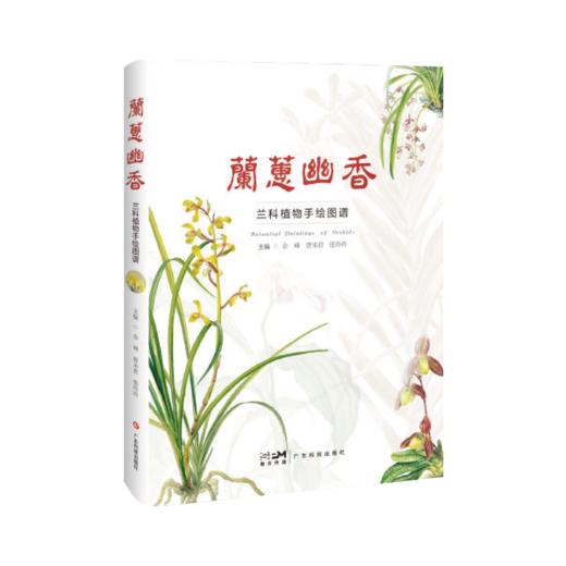 兰蕙幽香——兰科植物手绘图谱 商品图0