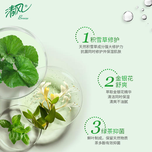 【官方自营】清风御本草单片装草本湿巾8片*10包箱装 商品图1