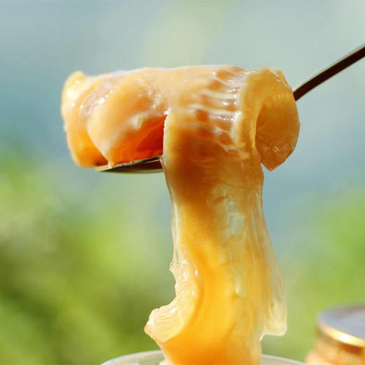 每天一罐牛奶花胶 食补胶原蛋白即食花胶 美味又滋养 90g 商品图4