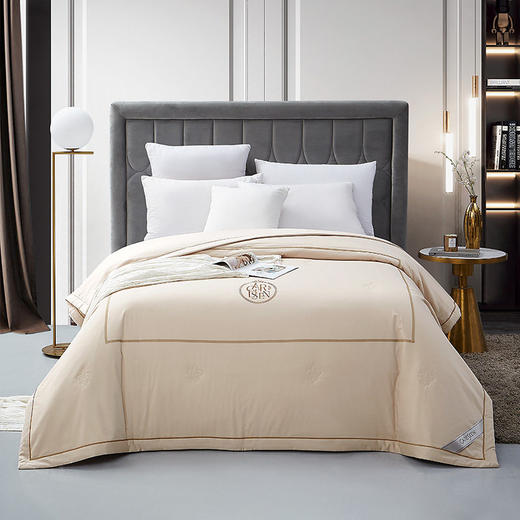 春秋棉被芯被子冬被单人纯棉加厚保暖纤维磨毛双人全棉秋冬季被褥 商品图2