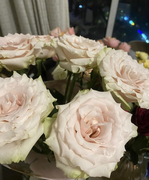 【秒杀福利】玫瑰 - 流沙  20枝/扎 商品图2