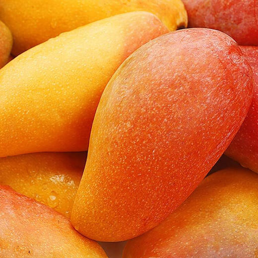 产地直发 | 【枝悦】 海南贵妃芒 果肉细腻 皮薄核小 超甜芒果 商品图3