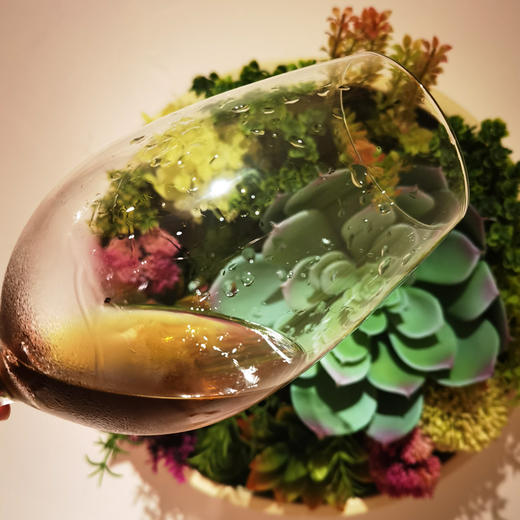 日本纪州绿茶梅子酒720ml 商品图3