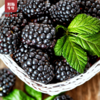 【品质精选】德昌鲜桑葚3斤装 省外专拍 商品缩略图2