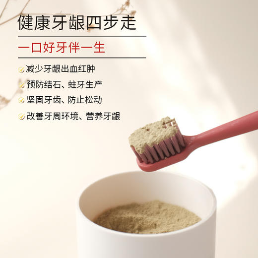 【陈修园·古方】皓齿安植物洁牙粉50克/瓶 商品图3