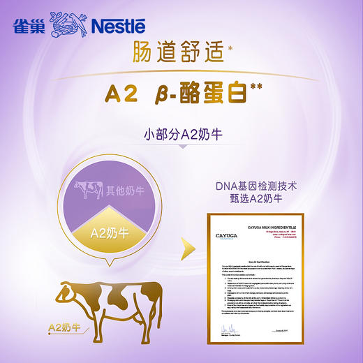 雀巢孕产妇奶粉 A2妈妈配方奶粉 （孕妇产妇适用）900克 商品图1